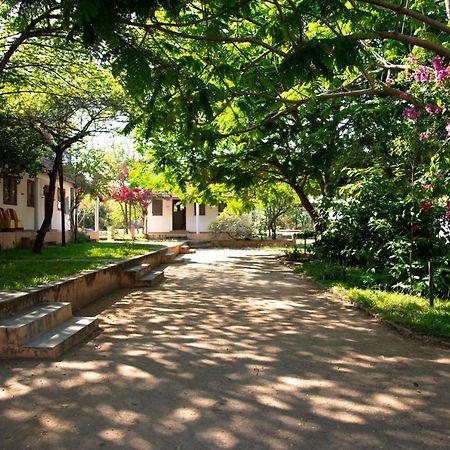 فندق The Mountain Retreat Tiruvannāmalai المظهر الخارجي الصورة